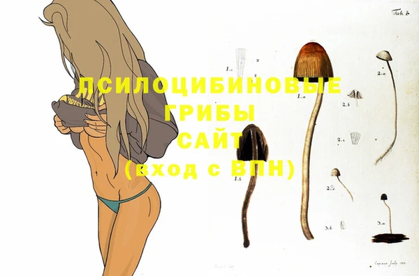 хмурый Алексин