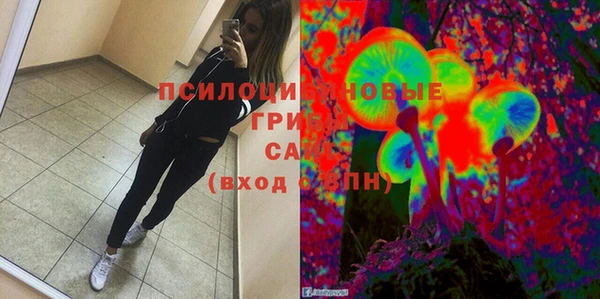 хмурый Алексин