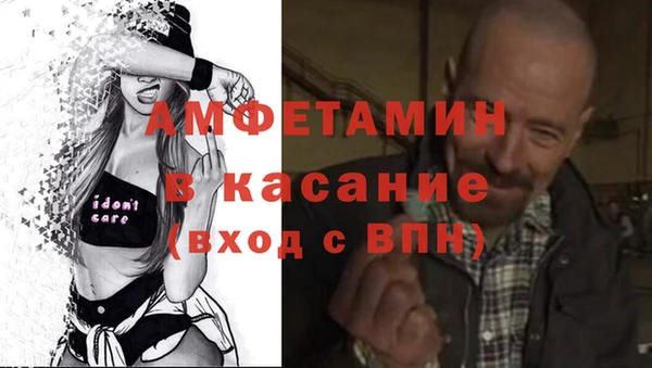 хмурый Алексин