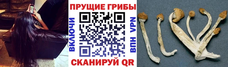 что такое наркотик  Воткинск  Псилоцибиновые грибы мухоморы 
